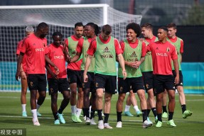 九州体育平台-关于丹麦备战国际赛事，备战紧要性审的信息