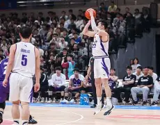 爱尔兰篮球水平